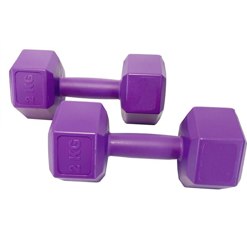 E-Life 2 kg Mor Köşeli Dambıl Seti 2 Kgx2 Adet Toplam 4 kg Ağırlık Dambıllar & El / Ayak Ağırlıkları Fiyatı