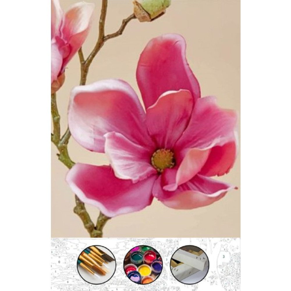 EAL Hobby Art Sayılarla Boyama Hobi Seti Çerçeveli Numaralı Tuval Fırça Boya Dahil 40X50 cm Manolya EAL034 Tuval Fiyatı