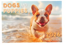 2026 Calendar Cute Puppy Dogs australia HD Print 16 month Calendar2026 A4 Size Calendar price