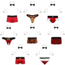 Men's 4Pcs Novelty Lingerie Set Bow Tie Collar Briefs Fancy Dress Costume AU Men's Costume price