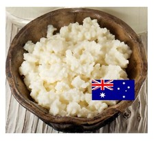Organic Milk Kefir Grains High Quality & Super Active! + Free, FAST Shipping! Milk price
