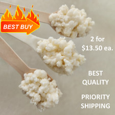 Organic Milk Kefir Grains – Best Quality & Super Active – Priority Shipping Milk price