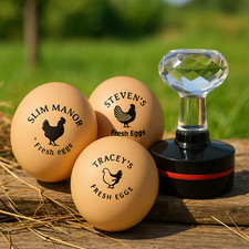 Personalized Eggs Stamp, Chicken Coop Gifts For Farmer, Chicken Egg Stamp, Eggs price