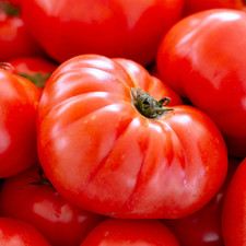 Tomato Mortgage Lifter 25 seeds Heirloom tomatoes big flavour vegetable garden Vegetables price