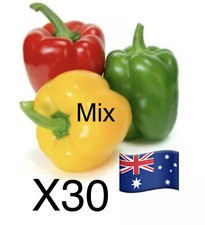 30 Seed Mix Capsicum Garden Plant Fruit Plant Vegetables Aus Stock 🇦🇺🇦🇺 Vegetables price