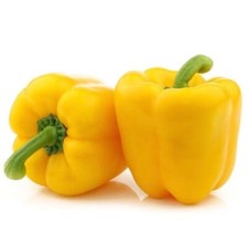 yellow capsicum plant 30 Seeds Vegetables Garden Vegetables price