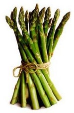 ASPARAGUS 'Mary Washington' 25+ seeds perennial vegetable garden HEIRLOOM nongmo Vegetables price