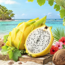 🌸YELLOW DRAGONFRUIT PITAYA 15 SEEDS Hylocereus costaricensis Harvest🌙 Fruits price