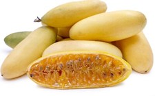 Passionfruit - Banana Seeds x 8 AVAILABLE to WA NOT TAS/NT Fruits price