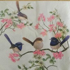 PAPER NAPKINS / SERVIETTES PACK OF 20 WRENS BLUE & BROWN BIRDS ON BLOSSOM 3PLY Napkin price