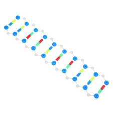 Science Education Demonstration Kit Biology Model Structure Biology price