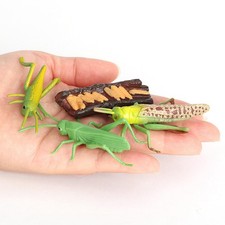 Grasshopper Growth Life Cycle Figure Model Playset Kids Pre Biology Toys Role Biology price