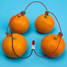 Children Bio Energy Science Kit Potato Fruit Electricity Experiment STEM Toy Fun Physics price