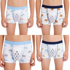 Kids Boys Underwear Breathable Boxer Briefs Medical Underpants Clothing Cartoon Boys' Boxer price