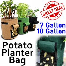 Potato Grow Planter Container Bag Pouch Root Plant Growing Pot Side Window GN Pots price