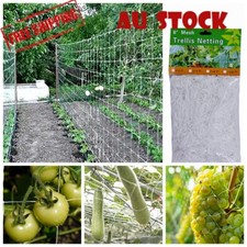 Elastic Scrog Trellis Net Garden Plant Climbing Support Netting Grow Tent Fence Garden Fence price