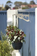 Andihooks Colorbond Fence Garden Hooks for Hanging Pot Basket & Planters Garden Fence price