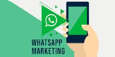 WhatsApp & Email Marketing Tool – Bulk WhatsApp Messaging with Buttons Commercial Software price