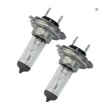 2PCS H7 12V 55W Halogen Headlight Bulbs White Look Car Lamp Globes Headlight Bulb price