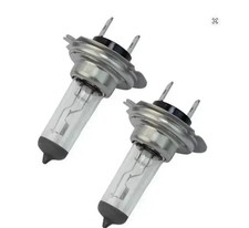 2x H7 Halogen Headlight Bulbs 12V 55W White Xenon Look Car Headlamp Globes AU Headlight Bulb price