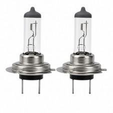 2PCS H7 12V 55W Halogen Headlight Bulbs White Look Car Lamp Globes Headlight Bulb price
