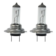 2PCS H7 12V 55W Halogen Headlight Bulbs White Look Car Lamp Globes Headlight Bulb price