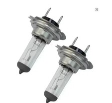 2x H7 Halogen Headlight Bulbs 12V 55W White Xenon Look Car Globes Headlight Bulb price