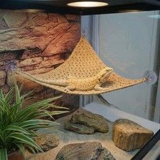 Suction Cup Lizard Hammock Mesh Reptile Mesh Breathable Hammock Climbing Net Hammock price