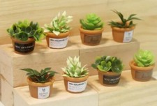 Fairy Garden Accessories Ornaments - 1 x Mini Plant Garden Accessory price