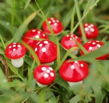 Fairy Garden Accessories Ornaments - 10 x Mushrooms (3-5 days delivery) Garden Accessory price