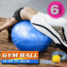 VIVVA Yoga Ball Home Exercise Gym Pilates Equipment Fitness Ball 55 65 75 85cm Pilates Equipment price