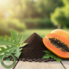 Organic Papaya Seed Powder | 100% Natural Dried Papaya Seeds | Herbal Superfood Organic Products price