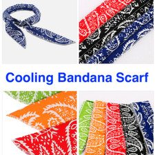 2x Ice Cooling Bandana Outdoor Sport Body Scarf Wrap Cool Headband Neck Cooler Bandana (Outdoor) price