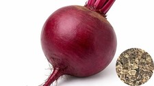 Beetroot Detroit 50+ Seeds Seeds price