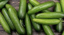Cucumber Lebanese 30+ Seeds Seeds price
