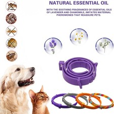 Adjustable Flea & Tick Collar For Dog Cat Puppy Insect Repellent 8 Month Protect Pet Products price