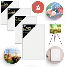 5 x Stretched Blank Canvas Assorted Size Large Range Wholesale Bulk Art Supplies Canvas price