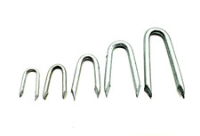 Galvanised Staples U Nails Netting Fencing Post Chicken Wire 20mm 30mm 40mm 50mm Staple Wire price