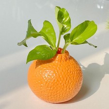 Orange Shaped Flower Vase Hydroponic Vase Bunch Storage Plant Holder Propagation Vase price