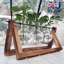 Propagation Station Wooden Stand Desktop Glass Vases Hydroponics  Plant Pot Vase price