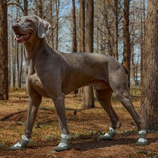 Anti-Slip Dog Boots Waterproof Pet Shoes Small Medium Large Dog Outdoor Boots (Outdoor) price