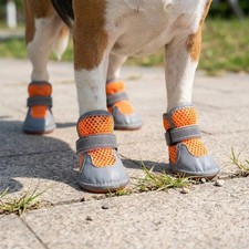 4Pcs Breathable Pet Net Boots Wear Resistant Dog Paw Protectors  Outdoor Boots (Outdoor) price