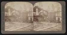 Distilling turpentine from the crude resin in the pine forests of - Old Photo Turpentine price