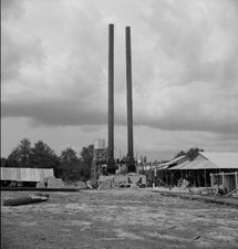 Turpentine plant near Marianna Florida Historic Old Photo Turpentine price