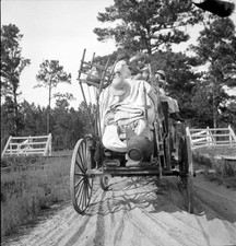 Moving day in the turpentine pine forest country Northern Florida Old Photo Turpentine price