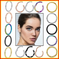 1Pair Seamless Hinged Segment Sleeper Clicker Ring Hoop Ear Lip Nose Earrings Diamond Earrings price