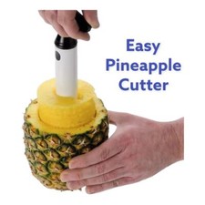 Easy Kitchen Pineapple Slicer Cutter Corer Gadget Stainless Plastic Fruit Peeler Slicers price