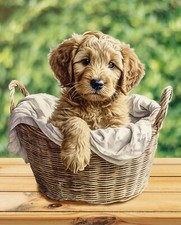Baby Golden Doodle   ~ 35" x 44" ~ David Textiles Fabric Panel Baby Gold Pillow price