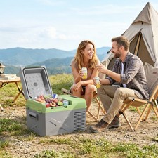 12L Camping Fridge Freezer, Portable Compressor Car Refrigerator 12/24V DC Car Refrigerator price