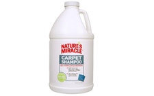 Deep Cleaning Stain Carpet Shampoo Odor Remover Water Based Clean Carpets Stains Carpet Shampoo price